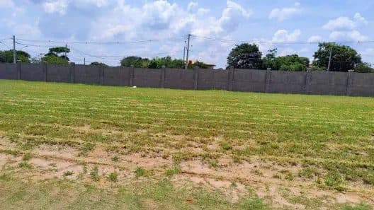 Vista interna de terreno plano com gramado e muro de concreto ao fundo.