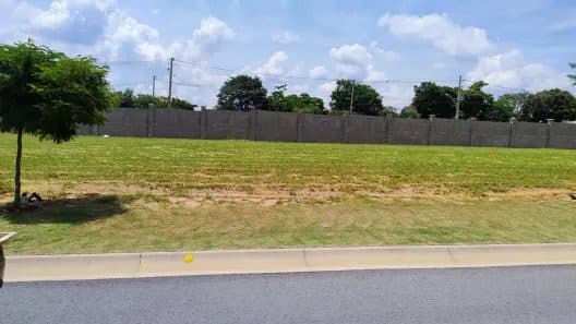 Terreno plano com gramado, árvore pequena e muro de concreto ao fundo.