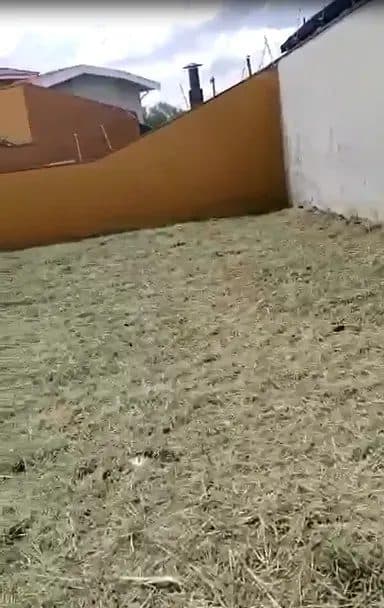 Terreno plano com vegetação rasteira e muros laterais.
